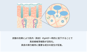 炭酸の効果により肌内（真皮）のpHが一時的に低下することで真皮遷移芽細胞が活性化。真皮の弾力維持に必要な成分の産生が促進