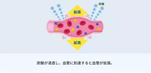 1.炭酸が浸透し、 血管に到達すると血管が拡張。