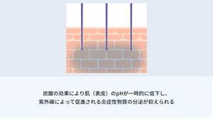 2.炭酸の公開により肌（表皮）のpHが一時的に低下し、紫外線によって促進される炎症性物質の分泌が抑えられる。