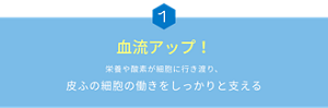 ①血流アップ！　栄養や酸素が細胞に行き渡り、皮ふの細胞の働きをしっかりと支える