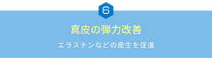 真皮の弾力改善　エラスチンなどの産生を促進