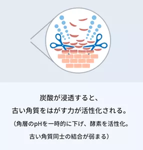 2.炭酸が浸透すると、古い角質をはがす力が活性化される。 （角層のpHを一時的に下げ、酵素を活性化。古い角質同士の結合が弱まる）