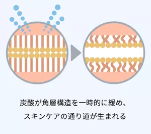 2.炭酸が角層構造を一時的に緩め、スキンケアの通り道が生まれる。
