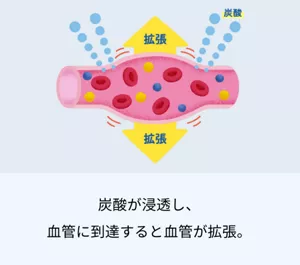 1.炭酸が浸透し、 血管に到達すると血管が拡張。