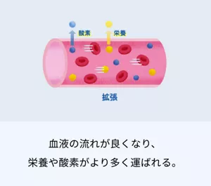 2.血液の流れが良くなり、 栄養や酸素がより多く運ばれる。