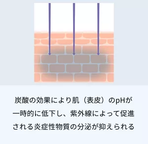 2.炭酸の公開により肌（表皮）のpHが一時的に低下し、紫外線によって促進される炎症性物質の分泌が抑えられる。