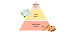 Leafy green Peach Apple Muguet Jasmine Sandalwood Amber