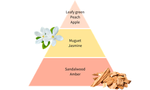 Leafy green Peach Apple Muguet Jasmine Sandalwood Amber