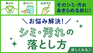 シミ・汚れのトリセツ　詳しくみる