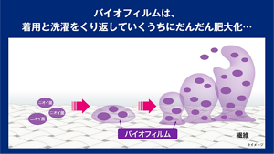 バイオフィルムは、着用と洗濯をくり返していくうちにだんだん肥大化…