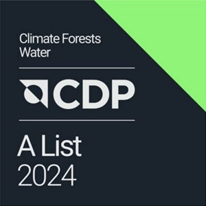 CDP A List logo for 2024