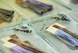 Kao_Americas_What-We-Believe-In_Animal-Testing