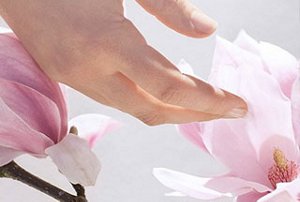 Kao_Americas_What-We-Believe-In_Fragrances