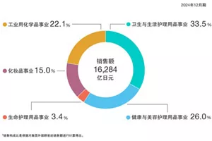 销售额构成比图表。2024年12月的销售额为16,284亿日元。其中，卫生和生活护理事业占比33.5%，健康和美容护理事业占比26.0%，生活护理事业占比3.4%，化妆品事业占比15.0%，化学品事业占比22.1%。