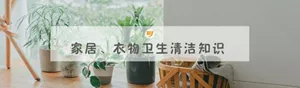 家居、衣物卫生清洁知识