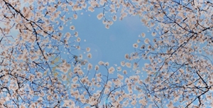 Kao_EMEA_Homepage_Carousel_Images