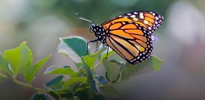 Kao_EMEA_Homepage_Carousel_Images