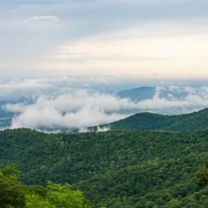 Kao_EMEA_Web_Sustainability_Images