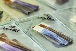 Kao_EMEA_Web_Sustainability_Images