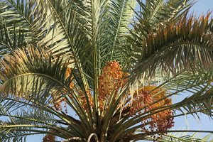 Kao_EMEA_Web_Sustainability_Images