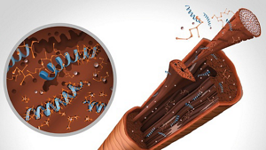 Kao_Website_RD_Dualsenses-Bond-Pro_Carousel-3_301121