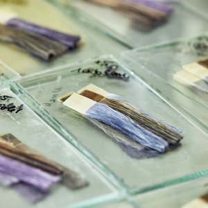 Kao_Website_RD_Innovation_301121