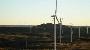 1387_ClimatePartner_01