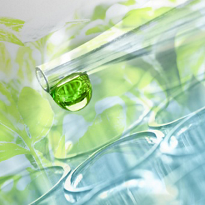 Kao_Website_Sustainability_ESG-Consumer_Formulas_161221