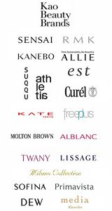 Kao | Business Fields