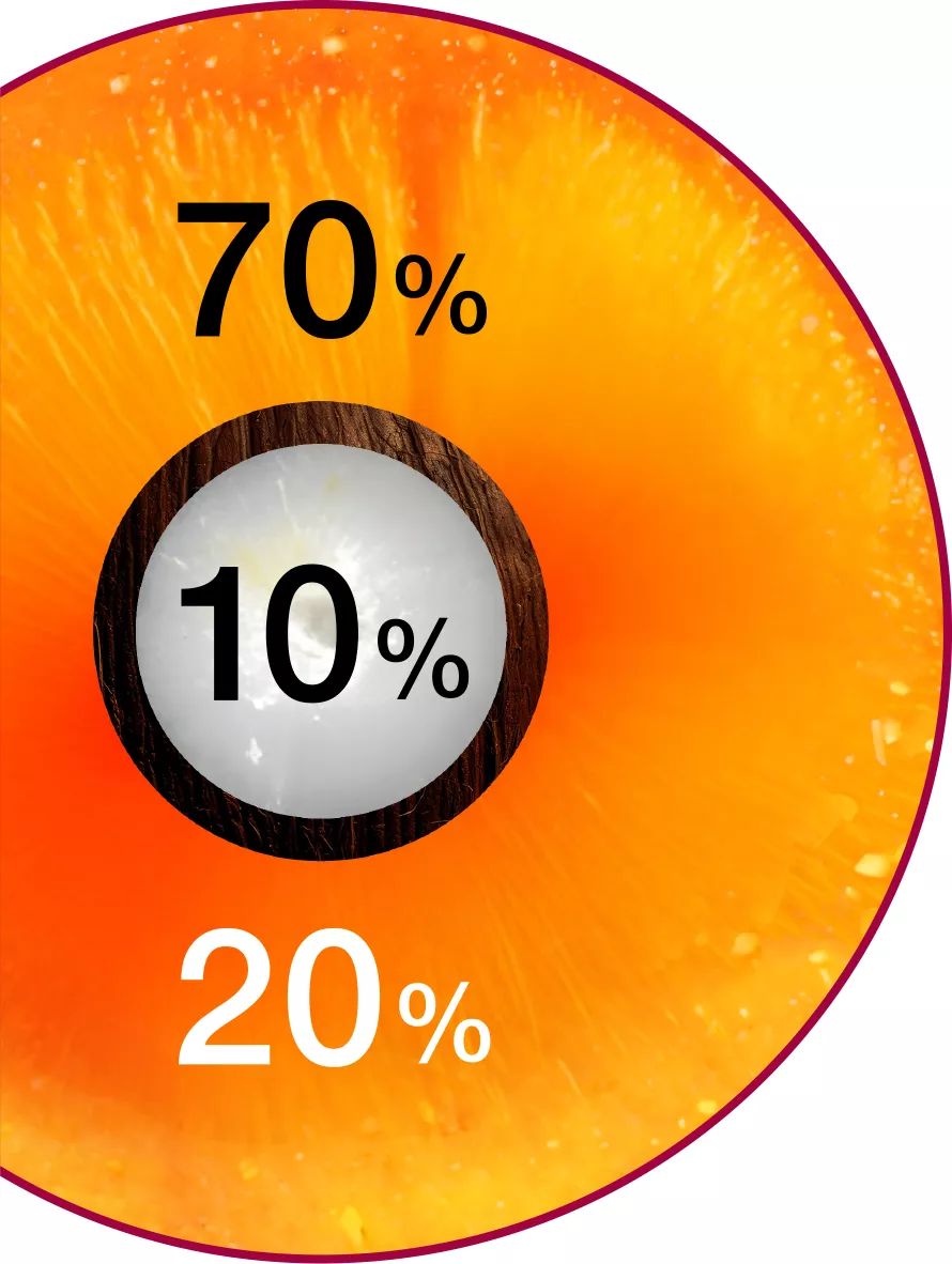 Image of a cross-section of oil palm fruits and the proportions of oil extracted from each part