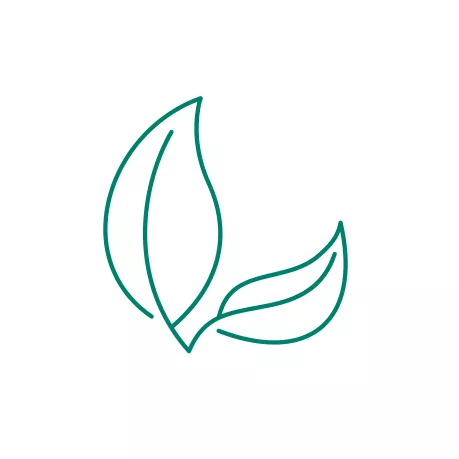 An illustration depicting a naturally derived origin