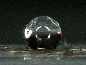 Close-up of a surface covered with mosquito wings, showing water droplets remaining spherical to indicate water-repellent properties.