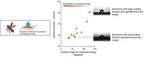 Graph and photos showing contact angles of surfactant solutions on mosquito wings, demonstrating better wetting with lower surface tension.