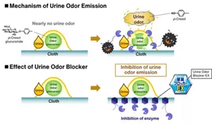 Urine odor is initially nearly no odor, but becomes stronger under the action of bacterial enzymes. Urine odor blocker inhibit that bacterial enzymes and prevent urine odor emission.