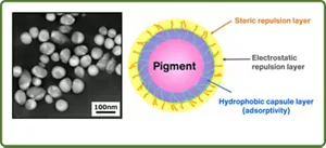 The electron microscope images of the newly developed pigment dispersion show that the pigment is coated and encapsulated by a polymer. In the schematic diagram, it is indicated that from the pigment side, there are hydrophobic encapsulation layer with adhesion, electrostatic repulsion layer, and steric repulsion layer.