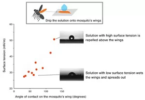 Figure.2, When the solutions are dripped onto mosquito’s wings, the solution with low surface tension wets the wings and spreads out.
