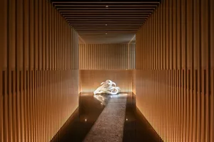 Entrance image of spa area (2)