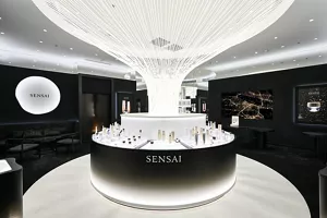 Image of shopping area (1)