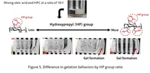 Figure 5. Gelling behavior at each ratio of HP groups.