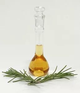 Rosemary leaves and Smart Garden Meguri Rosemary Extract