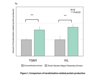 Figure 1. Comparison of keratinization-related protein production