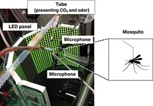A virtual reality device