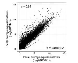 Plot showing similarity between the expression patterns of facial and scalp sebum RNA.