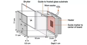 Diagram explaining chamber apparatus used for measuring mosquito contact time. This chamber provides host cues such as odour, heat, carbon dioxide, and visual contrast to promote mosquito landing on ground-glass substrates.