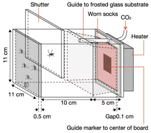 Diagram explaining chamber apparatus used for measuring mosquito contact time. This chamber provides host cues such as odour, heat, carbon dioxide, and visual contrast to promote mosquito landing on ground-glass substrates.