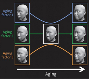 Fase Analisis Modeliing Artinya / Center for Evolutionary Materials