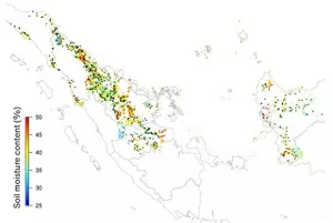 A map showing soil health over a wide area in Indonesia
