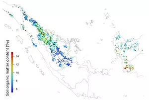 A map showing soil health over a wide area in Indonesia