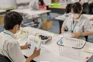 Employees of the Office Support Division are working on setting up teaching materials for handwashing courses for schools for the visually impaired.