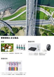 花王 | わたしたちの事業